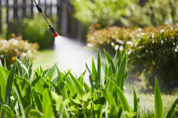 24/7 Emergency Mosquito Control experts in Wauseon, OH