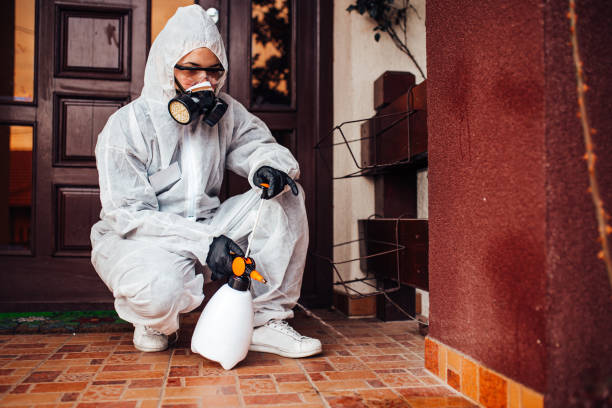 Reliable Mosquito Control contractor in Wauseon, OH by Show Me Pest Control