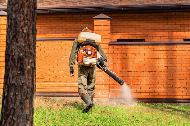 Top rated local Mosquito Control specialists in Wauseon, OH